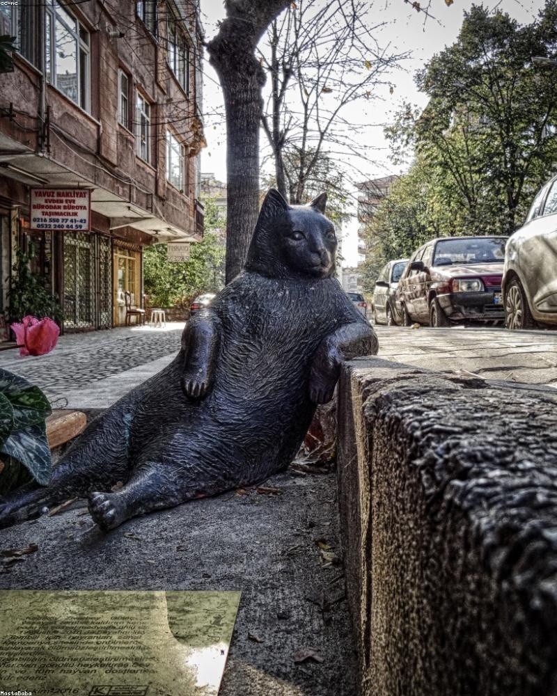 Thomas Ehringer, Ansprechpartner Altstadt